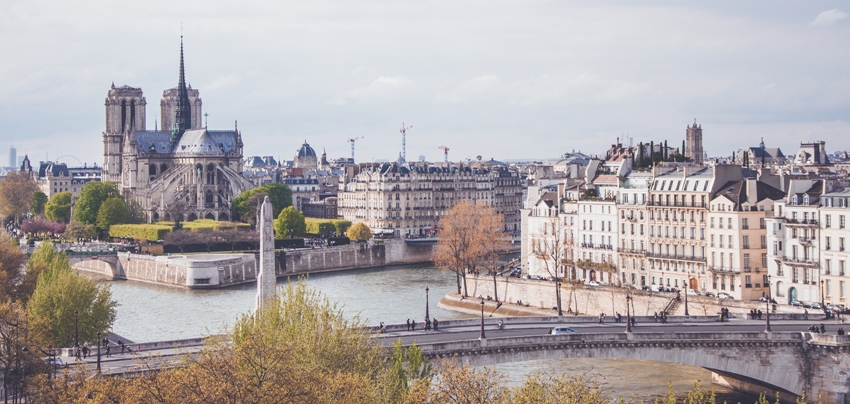 Paris, Rosette, Architecture, Notre Dame, Sculpture